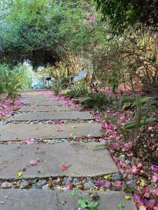 a walkway with pink flowers on the ground at Country Cottage Home in Chorazim