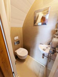 a small bathroom with a toilet and a sink at The Golden Ball Hotel Pods in Torrisholme