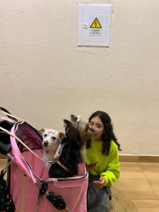 a woman sitting next to a pink stroller with two dogs at Hotel Carmelita in Aparecida