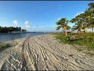 a sandy beach with palm trees and a body of water at Rural cotage and sandy bay in Tela