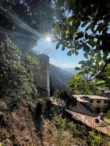 Příroda nedaleko prázdninového domu