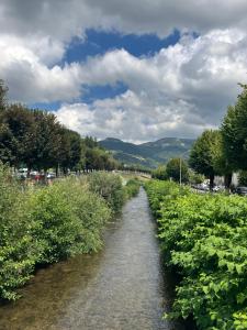 Příroda nedaleko apartmánu