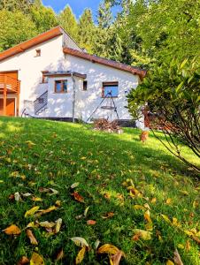 斯克拉斯卡波伦巴Furtka do Lasu的前面有草地的白色房子