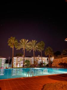 einen Swimmingpool mit Palmen in der Nacht in der Unterkunft Habitación en Bonalba con vistas al campo de golf in Mutxamel + 5 Fotos