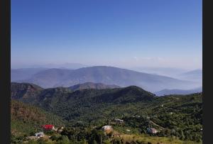 Природа в окрестностях варианта проживания в семье