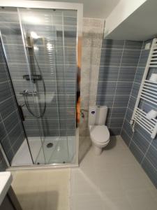 a bathroom with a shower and a toilet at Villány Outback in Kisjakabfalva