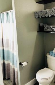 a bathroom with a toilet and a shower curtain at Tropical Mountain Valley Casita in Mesa