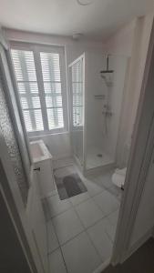 a white bathroom with a shower and a toilet at Maison de bourg à saint martin le beau in Saint-Martin-le-Beau +8 photos