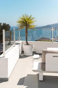 Naturlandskabet i nærheden af feriehuset + 54 billeder