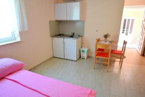 Kuchyň nebo kuchyňský kout v ubytování Apartment Jamb
