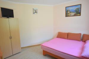 TV a/nebo společenská místnost v ubytování Apartment Jamb + 2 fotografie