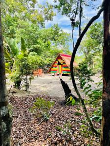 Fotografie z fotogalerie ubytování Land of Promise - Reggae Escape v destinaci Zanderij