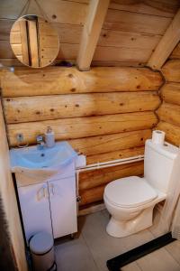 a bathroom with a toilet and a sink at Etno selo Pivska Vila in Nedajno +44 photos