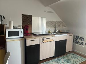 a kitchen with a sink and a microwave at Comptoir du Golf Studio in Villedieu-sur-Indre