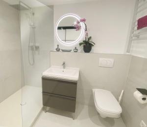 een badkamer met een wastafel, een toilet en een spiegel bij Apartment ANi, E-Parkplatz Göppingen 2Zi, 60qm zentrale Wohnung, Zweifamilienhaus, Terrasse, Garten, ruhig, direkt an Fahrradstraße, nahe EWS Arena in Göppingen +17 foto's