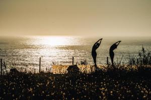 twoulptures of dolphins on a beach near the ocean at oceanHUTS Coxos Adults Only from age 14 in Ericeira