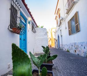 eine schmale Gasse mit einer blauen Tür und einigen Pflanzen in der Unterkunft Nido Mediterraneo in Procida + 16 Fotos