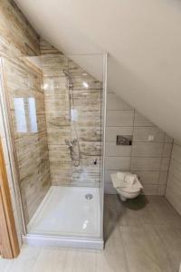 a bathroom with a shower and a toilet at APARTMA Viktor in Ormoz