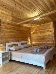 Afbeelding uit fotogalerij van Eco-friendly Guesthouse Tea Gezruli 25 km from Chiatura in Tsinsopʼeli