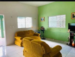 a living room with green walls and yellow furniture at Casa COP 30 BELÉM-Mosqueiro in Belém