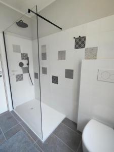 a bathroom with a glass shower with a toilet at Petit Brunò in Monfalcone +16 photos