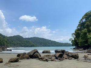 a beach with rocks and the water and trees at Posada Cachalote in Panguí +6 photos
