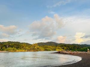 a body of water with a beach and trees at Posada Cachalote in Panguí