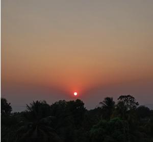 a sunset with the sun in the sky over trees at Hotel Ruby in Agua Blanca Sur +1 photo