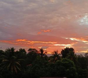 a sunset with palm trees and a cloudy sky at Hotel Ruby in Agua Blanca Sur