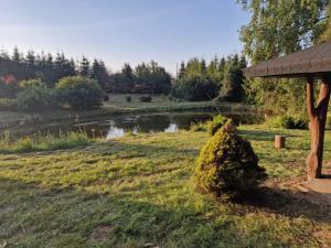 a bush sitting in the grass next to a pond at Leśny Staw Stodoła in Gilwa