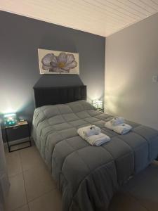 General AchaCabaña en General Acha的一间卧室，床上有一张带毛巾的床