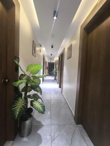 un corridoio con una pianta in un edificio di Hotel Royal Villa a Ahmedabad