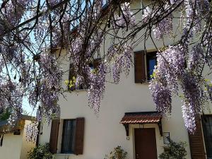 Zahrada ubytování B&B Borgo Tre Case + 17 fotografií