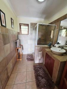 a bathroom with a sink and a shower and a mirror at Bush Willow Lodge in Hazyview