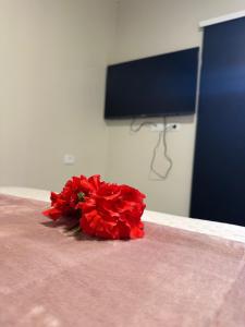 une fleur rouge assise au-dessus d'un lit dans l'établissement Refúgio no Paraíso, à Fernando de Noronha
