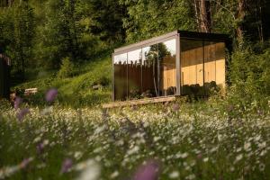 ein Glashaus inmitten eines Blumenfeldes in der Unterkunft Bad Ratzes in Seis am Schlern