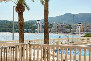 a white fence with two palm trees next to the water at Amazing Oceanfront 2br in Oropesa del Mar