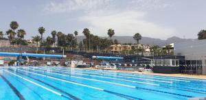 a large swimming pool with palm trees in the background at La Caleta Luxury Seaside Villa with 3 Bedrooms and Private Pool in Adeje