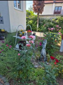 Gallery image of Apartments Villa Sena in Sarajevo
