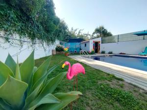 Πισίνα στο ή κοντά στο Vicentina Rooms by Casas do Alentejo
