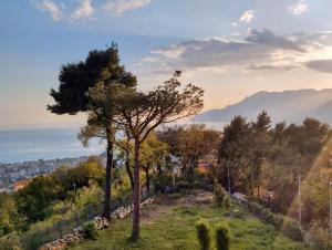 Gallery image of Verde Smeraldo in Salerno