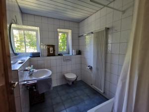Ένα μπάνιο στο Ferienhaus am alten Steinbruch +12 φωτογραφίες