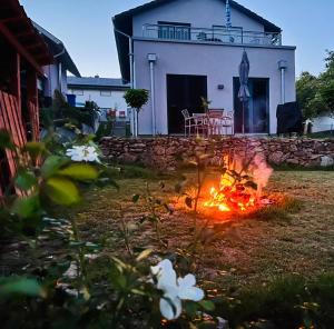 a fire in a yard in front of a house at Apartment mit Blick ins Grüne in Mitterfels