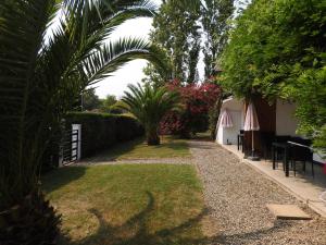 a garden with palm trees and a gravel path at Appartement Albizia-Résidence Les Glycines in Eugénie-les-Bains