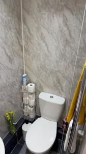 Un baño con un inodoro blanco en una habitación. en Peaceful Springfield Studio, en Chelmsford 20 fotos más