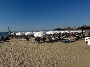 a beach with many chairs and umbrellas and the ocean at Apartment by the sea in Neoi Epivates +11 photos