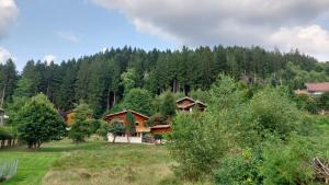 un groupe de chalets au milieu d'une forêt dans l'établissement Nouveau le Ské chalet, terrain clôturé, garage, animaux acceptés, proche lac, à Gérardmer