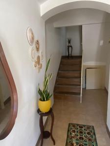 ein Flur mit einer Pflanze in einem gelben Topf in der Unterkunft La Piazzetta in Cantalupo nel Sannio