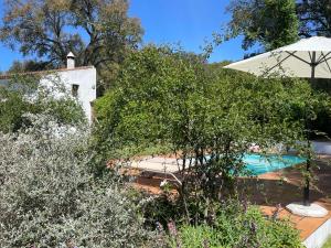 an umbrella next to a swimming pool with trees at La Casita de Platero in Los Marines
