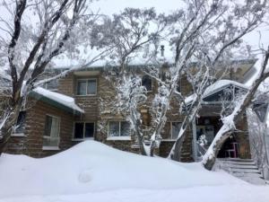 Το Reindeer 6 AMS Mt Buller τον χειμώνα